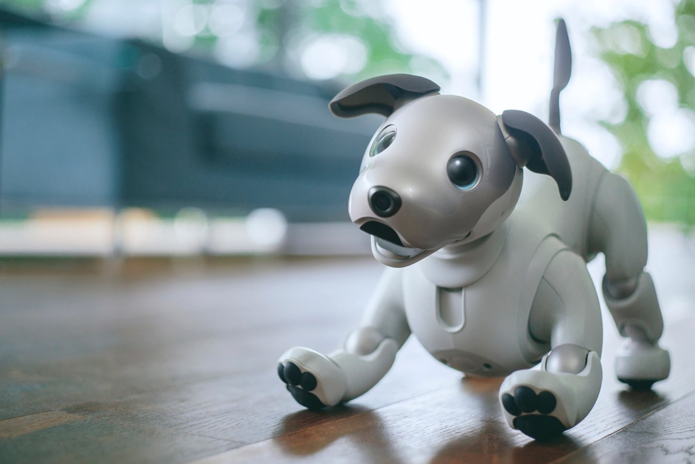 Artificial Intelligence that Can Translate Dog Barks into Human Language is Being Developed